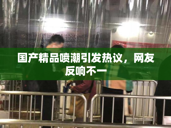 国产精品喷潮引发热议，网友反响不一