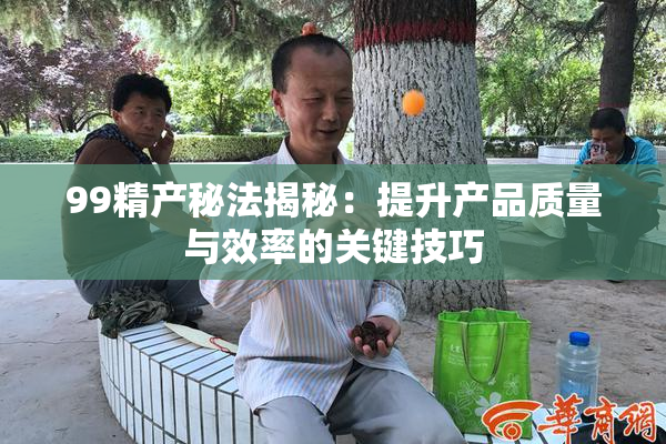 99精产秘法揭秘：提升产品质量与效率的关键技巧