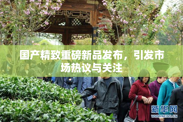 国产精致重磅新品发布，引发市场热议与关注