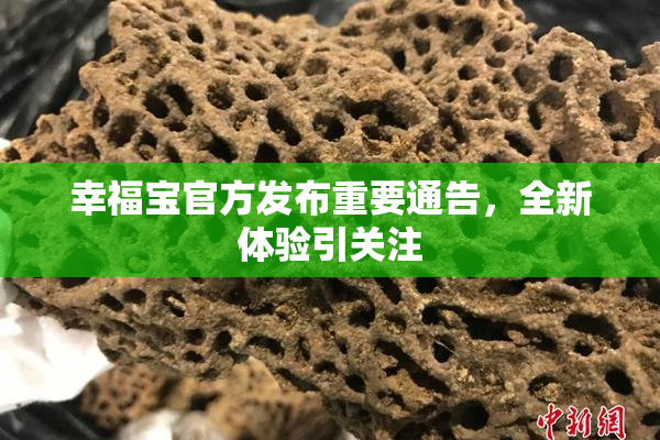 幸福宝官方发布重要通告，全新体验引关注