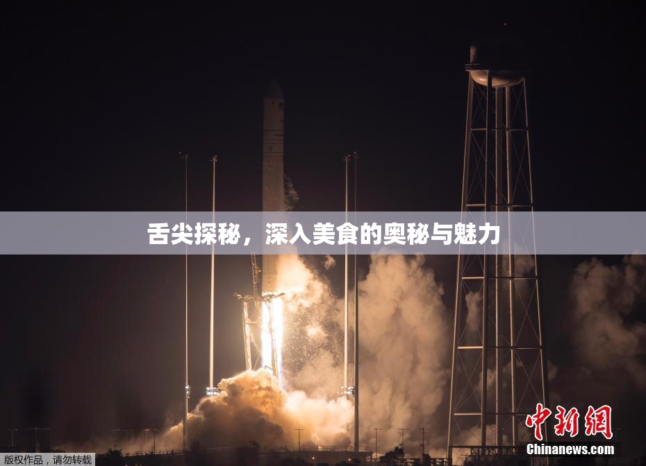 舌尖探秘，深入美食的奥秘与魅力