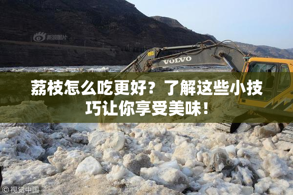 荔枝怎么吃更好？了解这些小技巧让你享受美味！