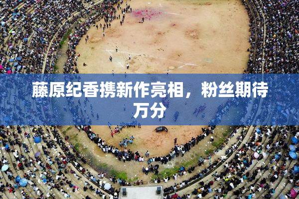 藤原纪香携新作亮相，粉丝期待万分