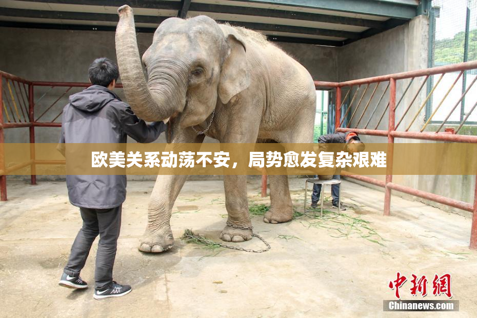 欧美关系动荡不安，局势愈发复杂艰难
