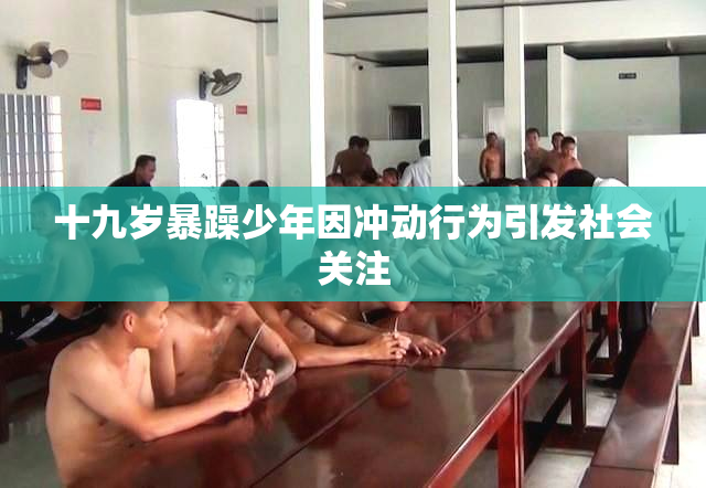 十九岁暴躁少年因冲动行为引发社会关注