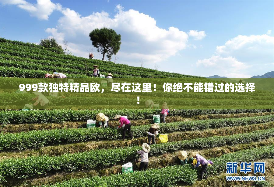 999款独特精品欧，尽在这里！你绝不能错过的选择！