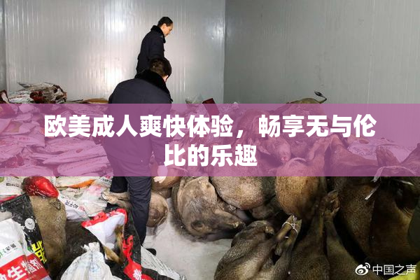 欧美成人爽快体验，畅享无与伦比的乐趣