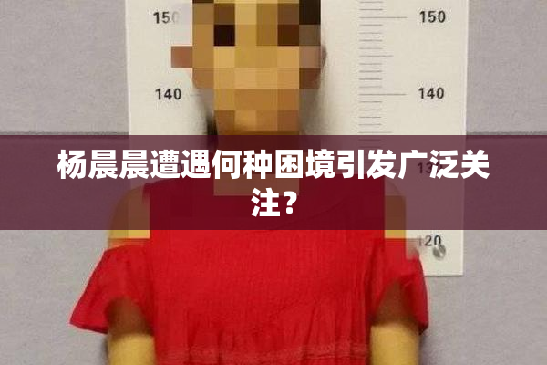 杨晨晨遭遇何种困境引发广泛关注？