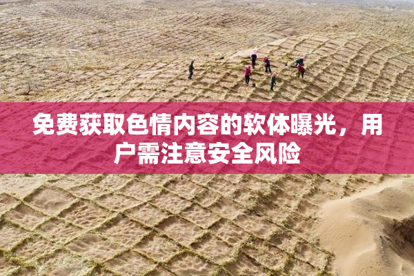免费获取色情内容的软体曝光，用户需注意安全风险