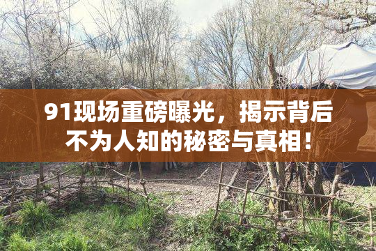 91现场重磅曝光，揭示背后不为人知的秘密与真相！