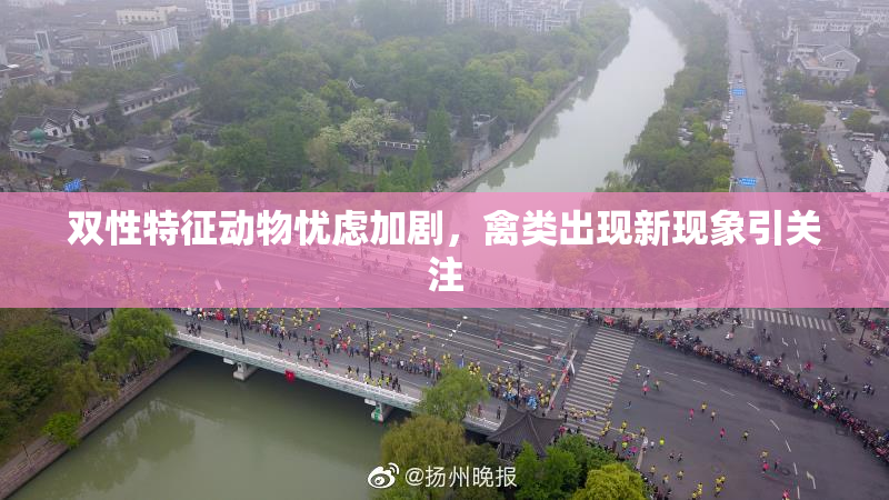 双性特征动物忧虑加剧，禽类出现新现象引关注