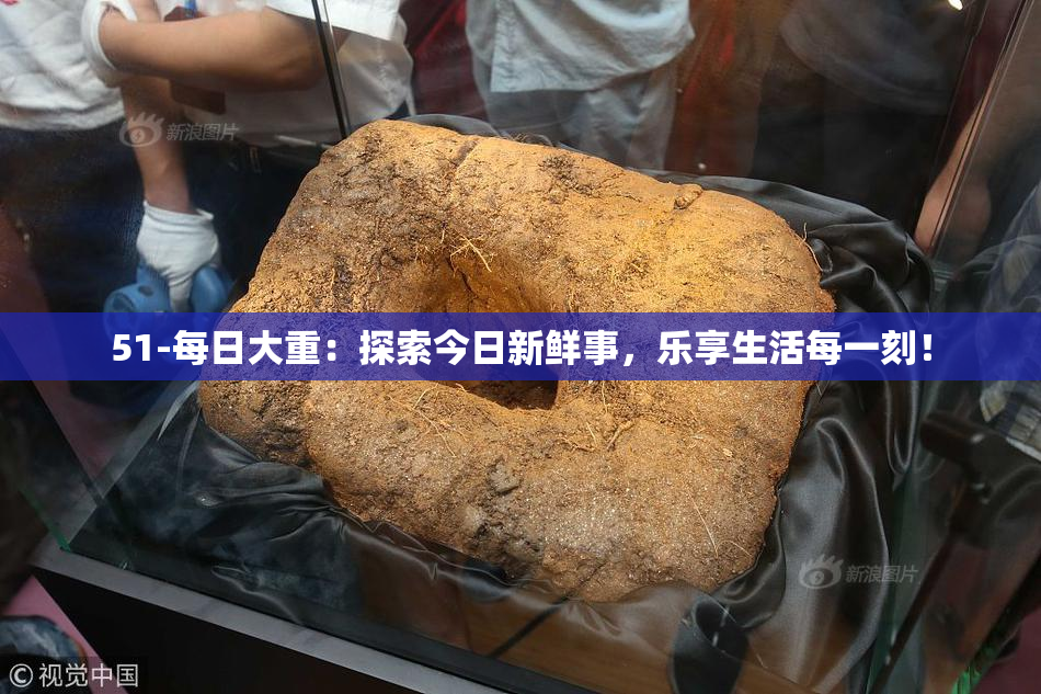 51-每日大重：探索今日新鲜事，乐享生活每一刻！