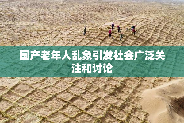国产老年人乱象引发社会广泛关注和讨论