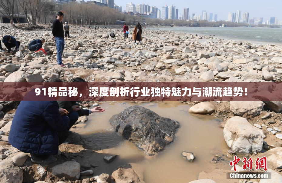 91精品秘，深度剖析行业独特魅力与潮流趋势！
