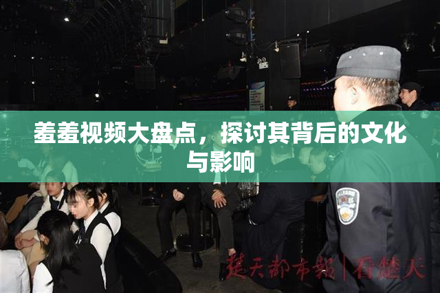 羞羞视频大盘点，探讨其背后的文化与影响