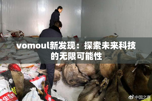 vomoul新发现：探索未来科技的无限可能性