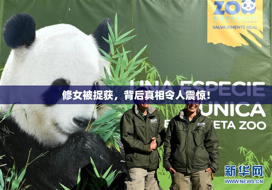 修女被捉获，背后真相令人震惊！