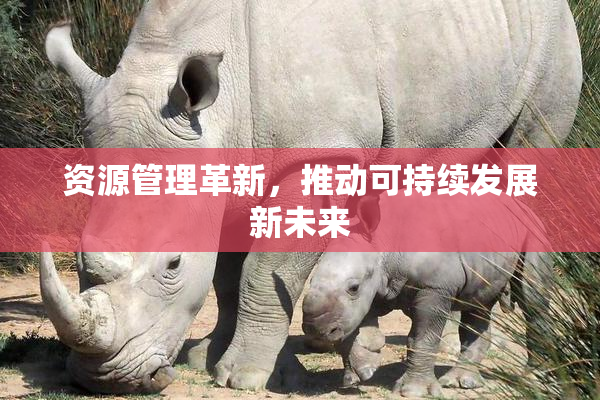 资源管理革新，推动可持续发展新未来