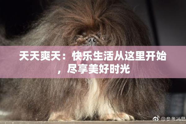 天天爽天：快乐生活从这里开始，尽享美好时光