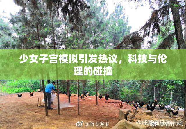少女子宫模拟引发热议，科技与伦理的碰撞