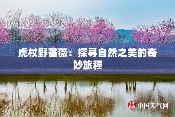 虎杖野蔷薇：探寻自然之美的奇妙旅程