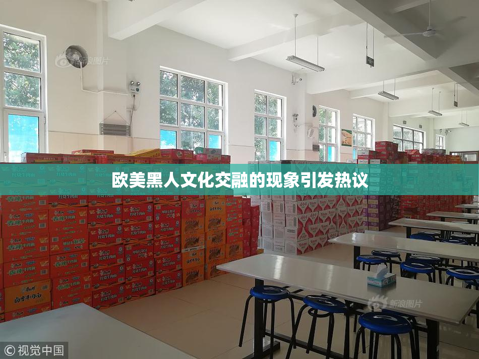欧美黑人文化交融的现象引发热议