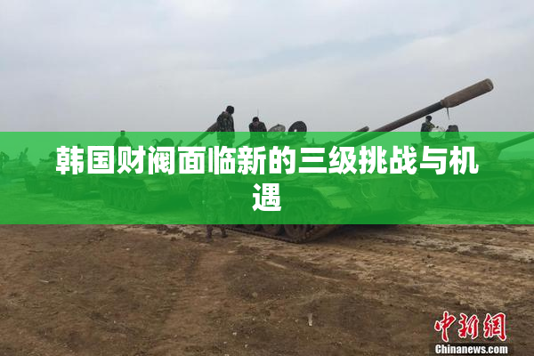 韩国财阀面临新的三级挑战与机遇