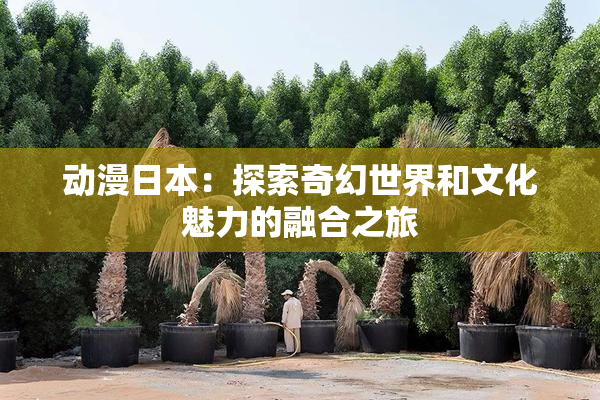 动漫日本：探索奇幻世界和文化魅力的融合之旅