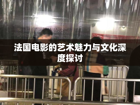 法国电影的艺术魅力与文化深度探讨