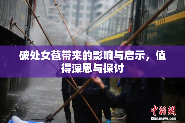 破处女苞带来的影响与启示，值得深思与探讨