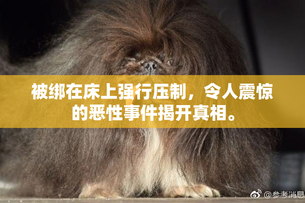 被绑在床上强行压制，令人震惊的恶性事件揭开真相。