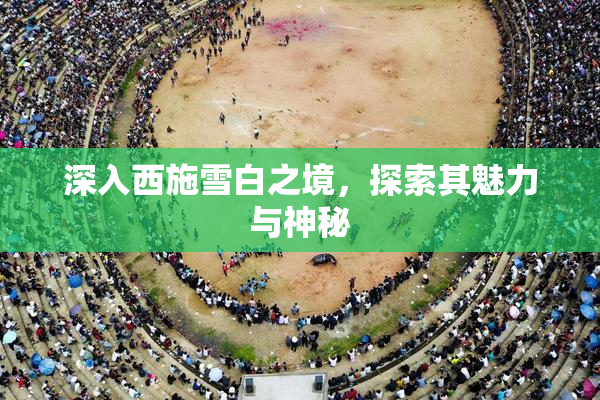 深入西施雪白之境，探索其魅力与神秘