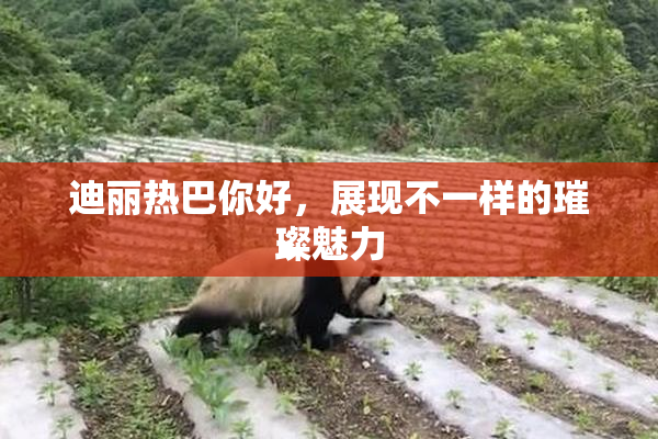 迪丽热巴你好，展现不一样的璀璨魅力