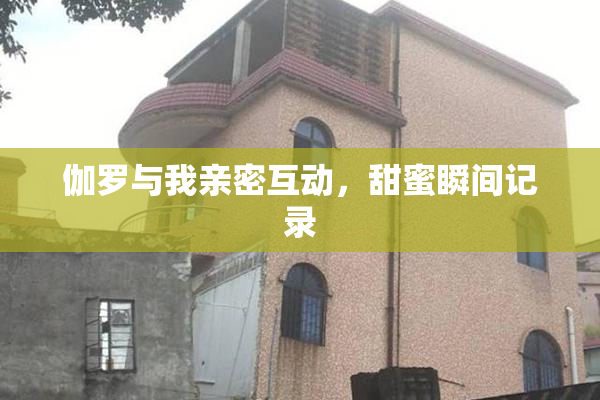 伽罗与我亲密互动，甜蜜瞬间记录