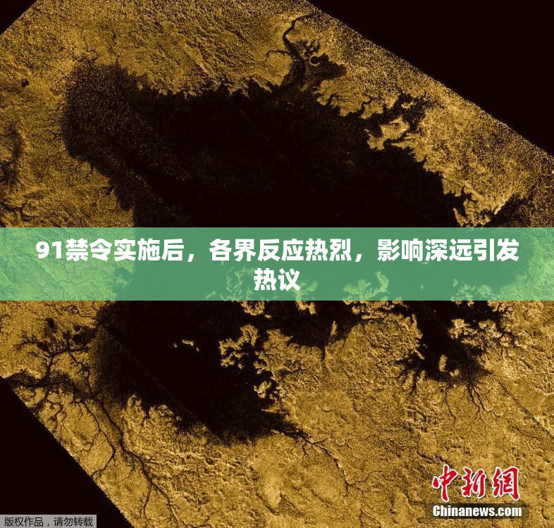 91禁令实施后，各界反应热烈，影响深远引发热议