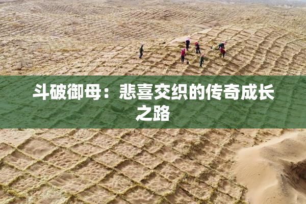 斗破御母：悲喜交织的传奇成长之路