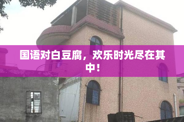 国语对白豆腐，欢乐时光尽在其中！