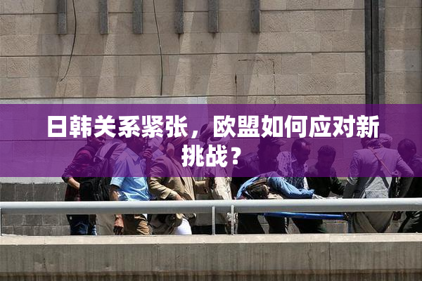 日韩关系紧张，欧盟如何应对新挑战？