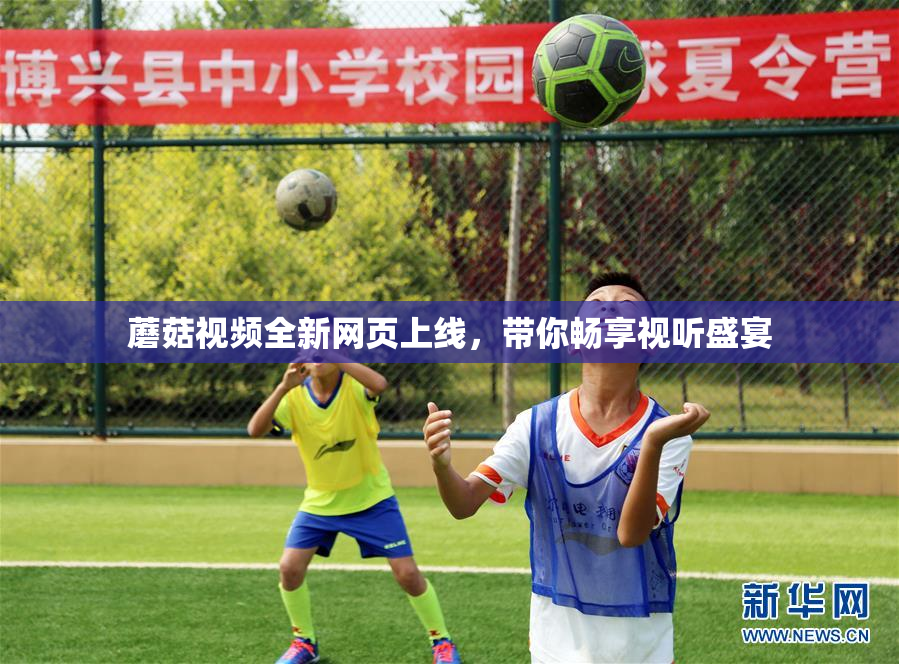 蘑菇视频全新网页上线，带你畅享视听盛宴