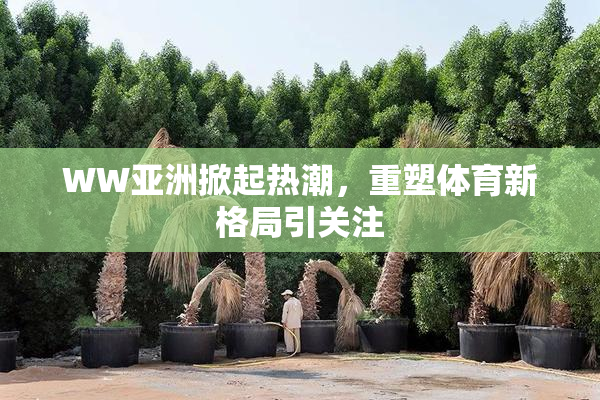 WW亚洲掀起热潮，重塑体育新格局引关注