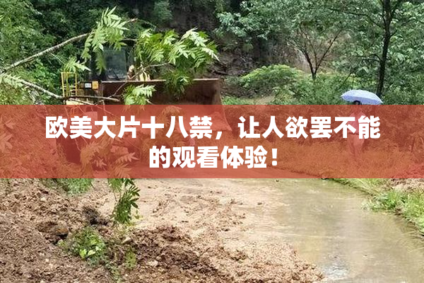 欧美大片十八禁，让人欲罢不能的观看体验！