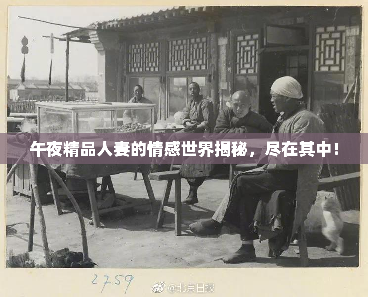 午夜精品人妻的情感世界揭秘，尽在其中！