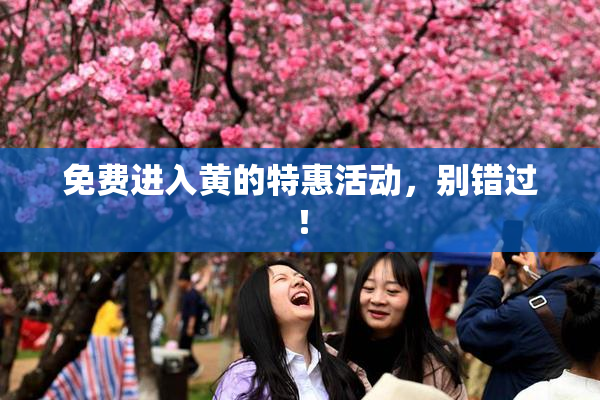 免费进入黄的特惠活动，别错过！