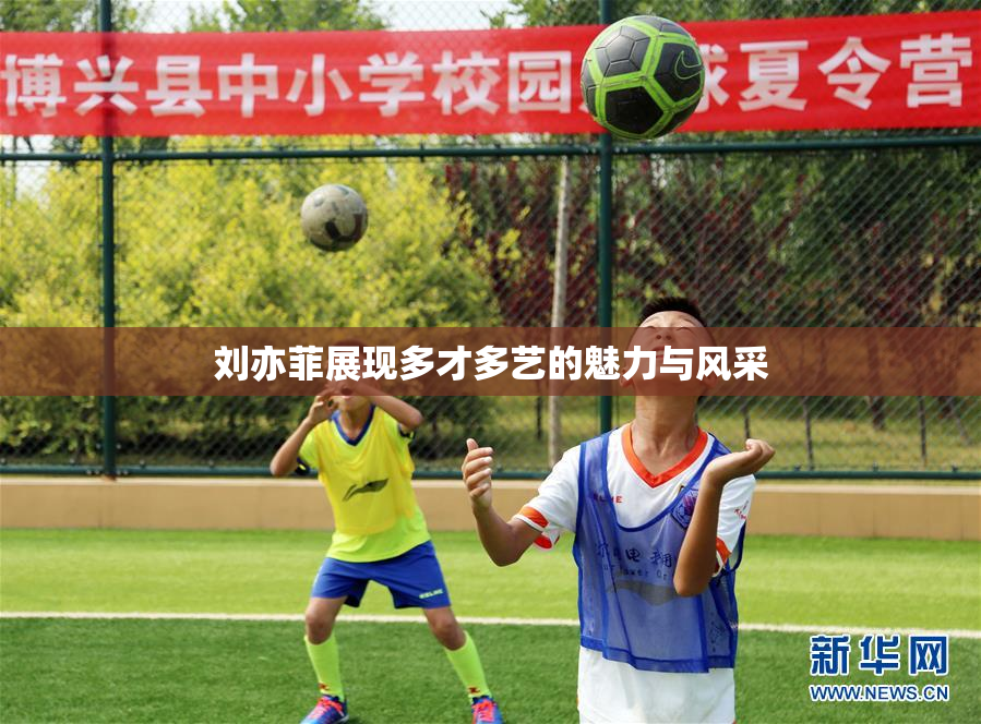 刘亦菲展现多才多艺的魅力与风采