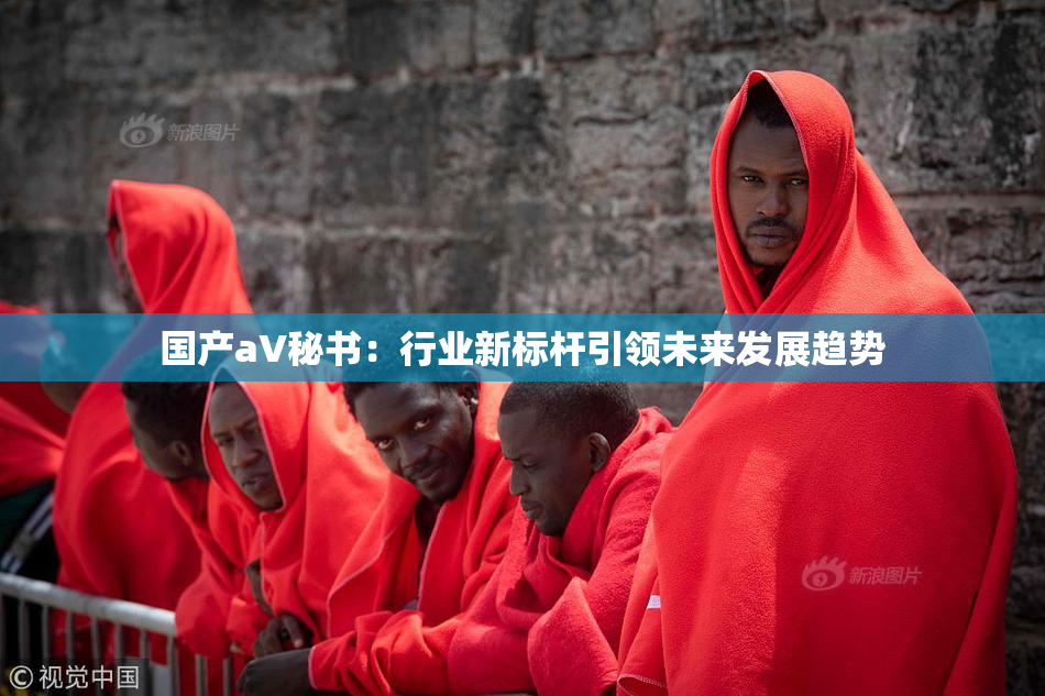 国产aV秘书：行业新标杆引领未来发展趋势