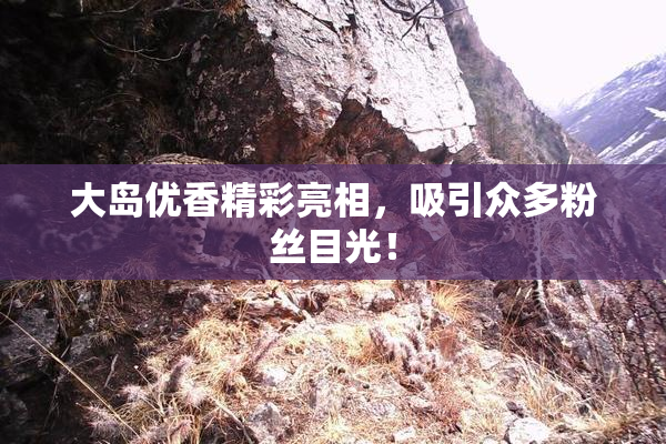 大岛优香精彩亮相，吸引众多粉丝目光！