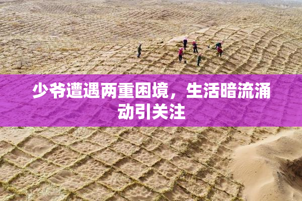 少爷遭遇两重困境，生活暗流涌动引关注
