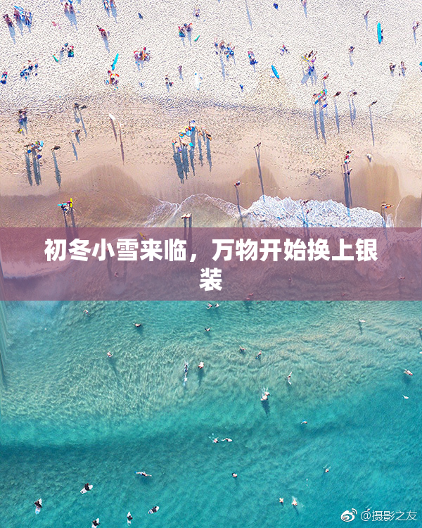 初冬小雪来临，万物开始换上银装