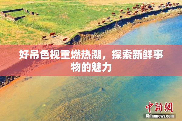 好吊色视重燃热潮，探索新鲜事物的魅力