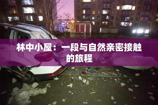 林中小屋：一段与自然亲密接触的旅程